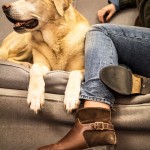 Cecilia Bringheli of CB Made in Italy with her dog and fall winter 2015/16 ankle boots