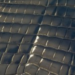 The best cut of crocodile skin is when the central line is visible.